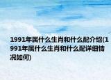 1991年属什么生肖和什么配介绍(1991年属什么生肖和什么配详细情况如何)