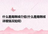 什么是南韩绒介绍(什么是南韩绒详细情况如何)