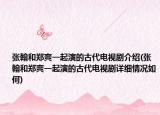 张翰和郑爽一起演的古代电视剧介绍(张翰和郑爽一起演的古代电视剧详细情况如何)
