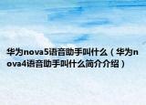 华为nova5语音助手叫什么（华为nova4语音助手叫什么简介介绍）