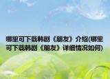 哪里可下载韩剧《朋友》介绍(哪里可下载韩剧《朋友》详细情况如何)