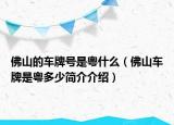 佛山的车牌号是粤什么（佛山车牌是粤多少简介介绍）