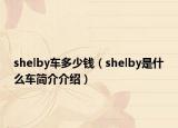 shelby车多少钱（shelby是什么车简介介绍）