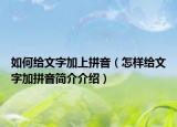 如何给文字加上拼音（怎样给文字加拼音简介介绍）
