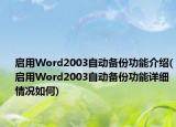 启用Word2003自动备份功能介绍(启用Word2003自动备份功能详细情况如何)