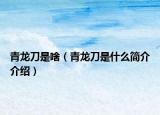 青龙刀是啥（青龙刀是什么简介介绍）
