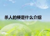 杀人的梗是什么介绍