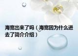 海宽出来了吗（海宽因为什么进去了简介介绍）
