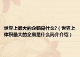 世界上最大的企鹅是什么?（世界上体积最大的企鹅是什么简介介绍）