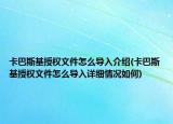 卡巴斯基授权文件怎么导入介绍(卡巴斯基授权文件怎么导入详细情况如何)