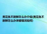 黄花鱼不新鲜怎么办介绍(黄花鱼不新鲜怎么办详细情况如何)