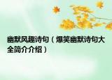 幽默风趣诗句（爆笑幽默诗句大全简介介绍）