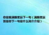 你是我满眼星辰下一句（满眼星辰皆是你下一句是什么简介介绍）