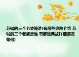 苏轼的三个老婆是谁(有那些典故介绍 苏轼的三个老婆是谁 有那些典故详细情况如何)