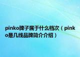 pinko牌子属于什么档次（pinko是几线品牌简介介绍）