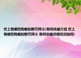 世上有哪些狗敢和野兽搏斗(有何依据介绍 世上有哪些狗敢和野兽搏斗 有何依据详细情况如何)