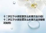 十二岁以下小孩犯罪怎么处理方法介绍(十二岁以下小孩犯罪怎么处理方法详细情况如何)