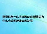 醋柳果有什么功效呢介绍(醋柳果有什么功效呢详细情况如何)
