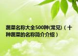 蔬菜名称大全500种(常见)（十种蔬菜的名称简介介绍）