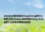 sheldon妈妈说的ching(chong是什么意思介绍 sheldon妈妈说的ching chong是什么意思详细情况如何)
