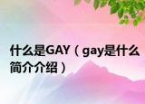 什么是GAY（gay是什么简介介绍）