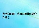 火羽白叫啥（火羽白是什么简介介绍）