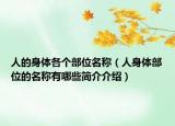 人的身体各个部位名称（人身体部位的名称有哪些简介介绍）