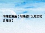 明妹的生活（明妹是什么意思简介介绍）