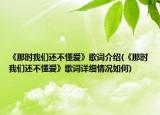 《那时我们还不懂爱》歌词介绍(《那时我们还不懂爱》歌词详细情况如何)