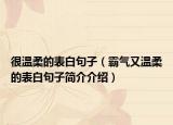 很温柔的表白句子（霸气又温柔的表白句子简介介绍）
