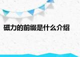 磁力的前缀是什么介绍