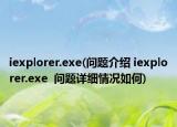 iexplorer.exe(问题介绍 iexplorer.exe  问题详细情况如何)