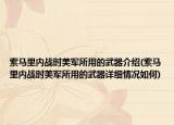 索马里内战时美军所用的武器介绍(索马里内战时美军所用的武器详细情况如何)