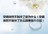 空调突然不制冷了是为什么（空调突然不制冷了怎么回事简介介绍）