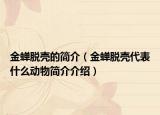 金蝉脱壳的简介（金蝉脱壳代表什么动物简介介绍）