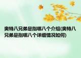 奥特八兄弟是指哪八个介绍(奥特八兄弟是指哪八个详细情况如何)