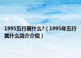 1995五行属什么?（1995年五行属什么简介介绍）