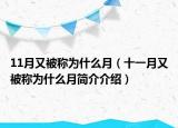 11月又被称为什么月（十一月又被称为什么月简介介绍）