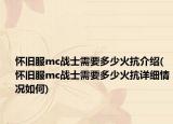 怀旧服mc战士需要多少火抗介绍(怀旧服mc战士需要多少火抗详细情况如何)