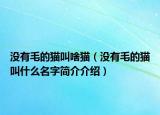 没有毛的猫叫啥猫（没有毛的猫叫什么名字简介介绍）