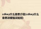 cdkey什么意思介绍(cdkey什么意思详细情况如何)