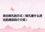 进出核孔的方式（核孔是什么进出的通道简介介绍）