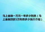 马上金融一万元一年多少利息（马上金融贷款1万利息多少简介介绍）