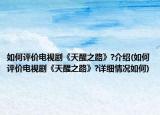 如何评价电视剧《天醒之路》?介绍(如何评价电视剧《天醒之路》?详细情况如何)