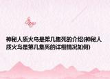 神秘人质火鸟是第几集死的介绍(神秘人质火鸟是第几集死的详细情况如何)