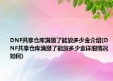 DNF共享仓库满级了能放多少金介绍(DNF共享仓库满级了能放多少金详细情况如何)