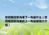 奈何明月照沟渠下一句是什么（奈何明月照沟渠的上一句是啥简介介绍）