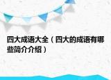 四大成语大全（四大的成语有哪些简介介绍）