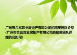 广州市合富置业房地产有限公司的精英团队介绍(广州市合富置业房地产有限公司的精英团队详细情况如何)