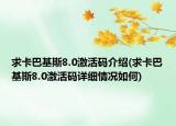 求卡巴基斯8.0激活码介绍(求卡巴基斯8.0激活码详细情况如何)